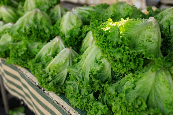 Explorez les Régimes Alimentaires Incontournables : Les Tendances Essentielles de l'Année à Ne Pas Manquer